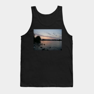 Swans and Sunset at Windsor Tank Top